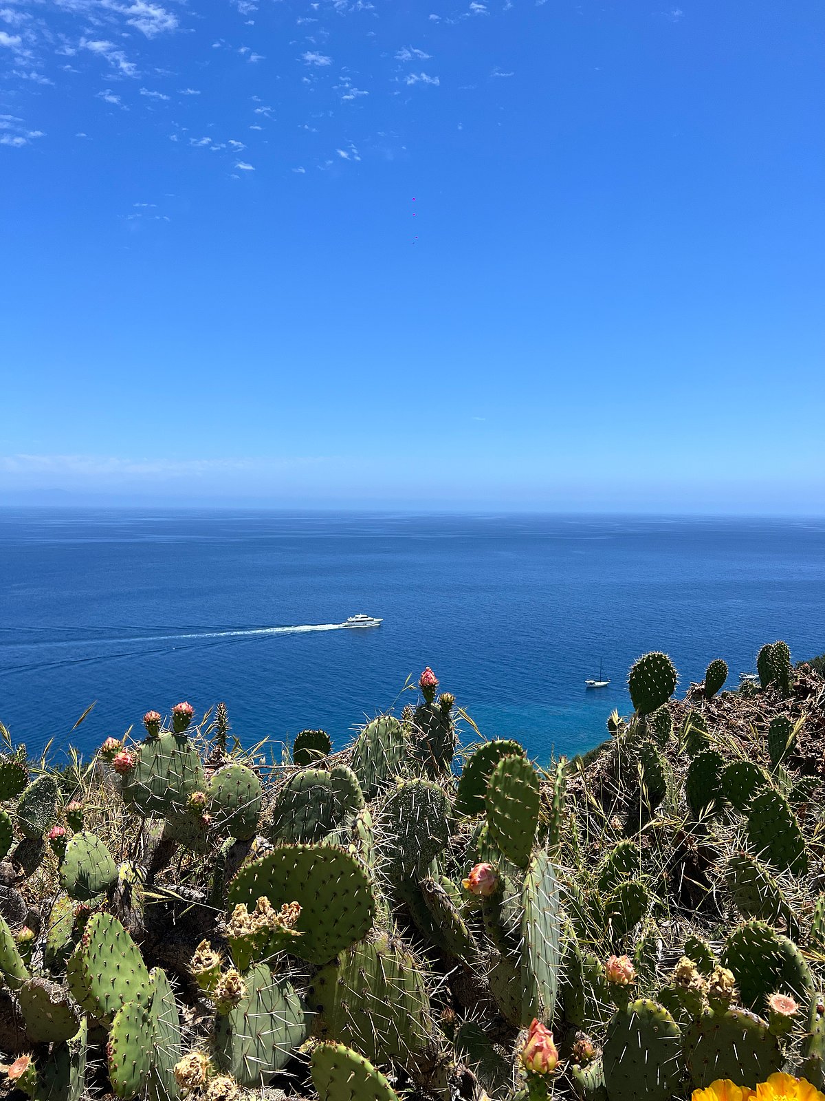 ছবি: সিদ্ধার্থ দেব মজুমদারের সৌজন্যে