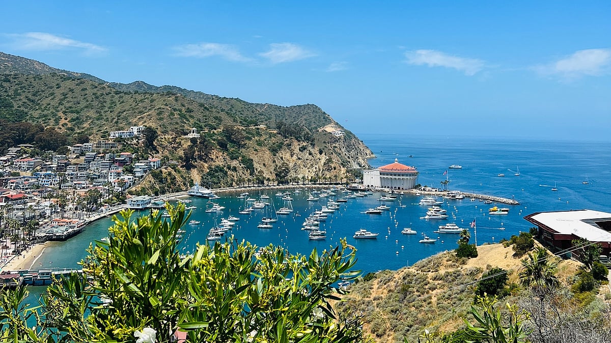 যুক্তরাষ্ট্রের এক গুপ্তধনের দ্বীপে যা দেখলাম