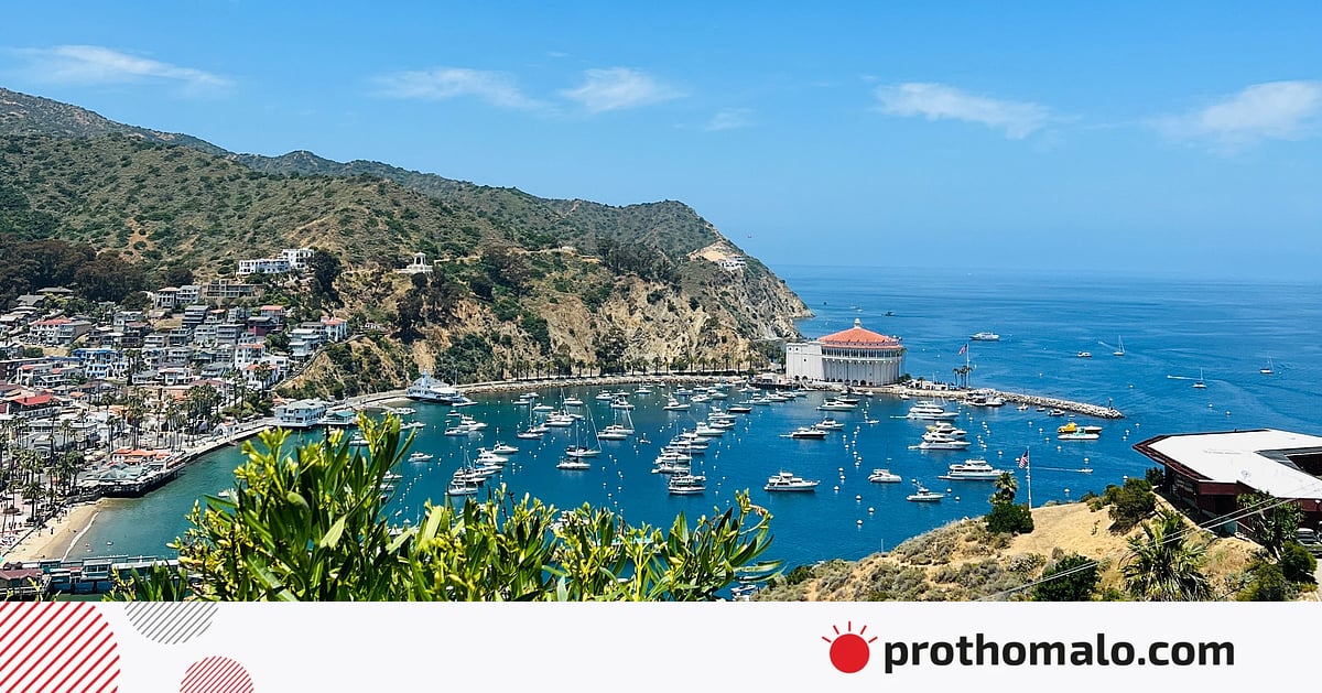 যুক্তরাষ্ট্রের এক গুপ্তধনের দ্বীপে যা দেখলাম যুক্তরাষ্ট্রের এক গুপ্তধনের দ্বীপে যা দেখলাম