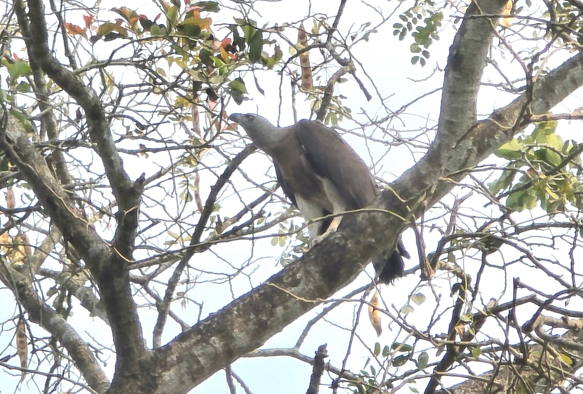 একঝলক (১০ মার্চ ২০২৬)