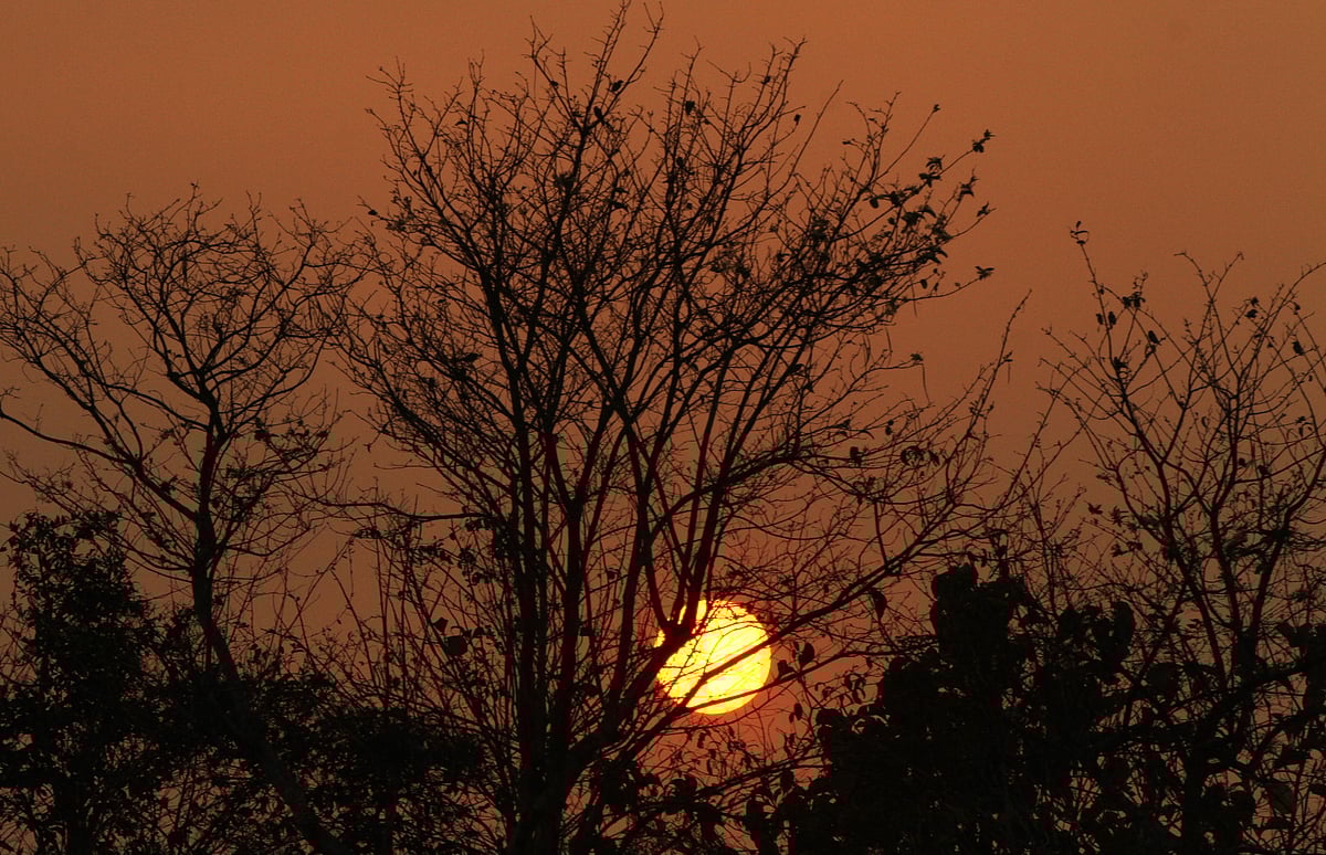 ছবি: সুপ্রিয় চাকমা