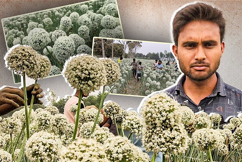 ইউটিউব দেখে পেঁয়াজবীজ চাষ শুরু করেন মিলন, এ বছর অর্ধকোটি টাকার বিক্রির আশা