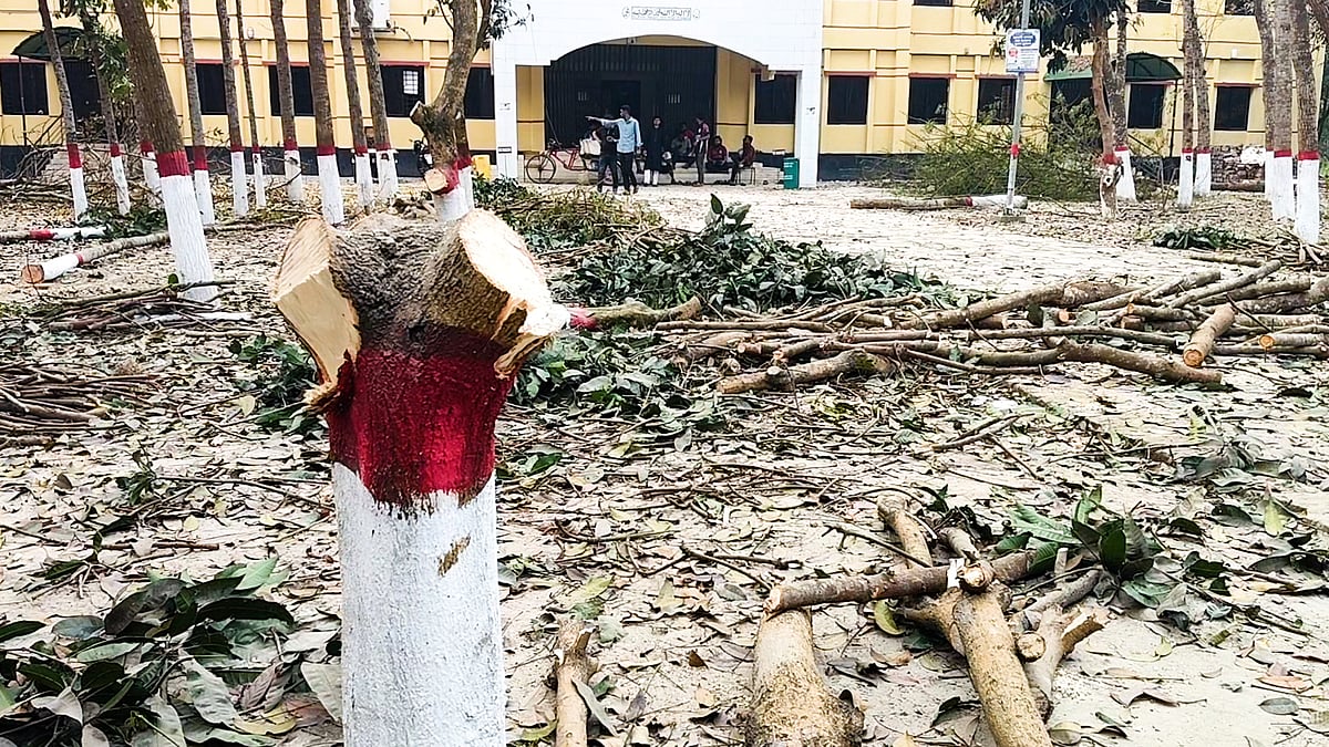 ঈদগাহ তৈরির নামে গাছ কাটার অভিযোগ, ক্ষুব্ধ রোকেয়া বিশ্ববিদ্যালয়ের শিক্ষার্থীরা