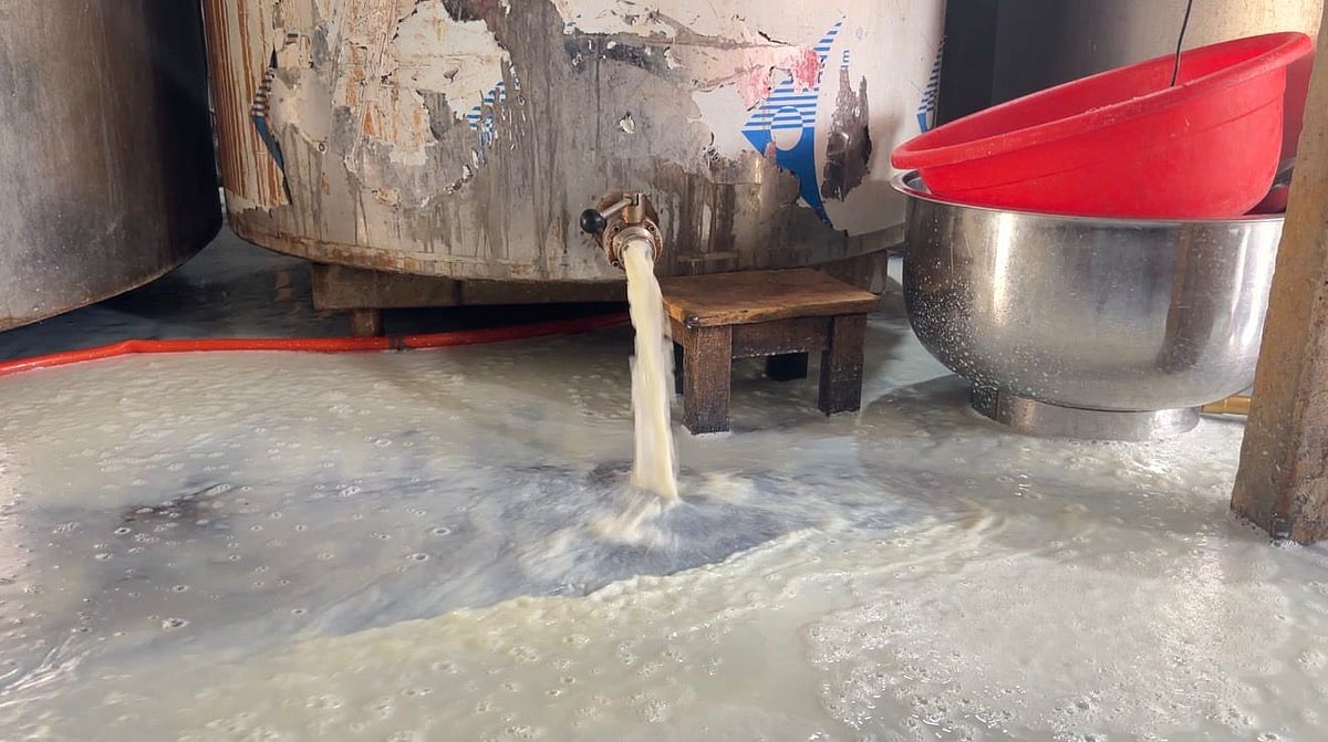 পাবনায় অভিযানেও বন্ধ হচ্ছে না ভেজাল দুধের কারবার