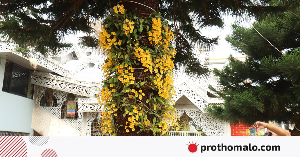 একঝলক (১২ মার্চ ২০২৬) একঝলক (১২ মার্চ ২০২৬)