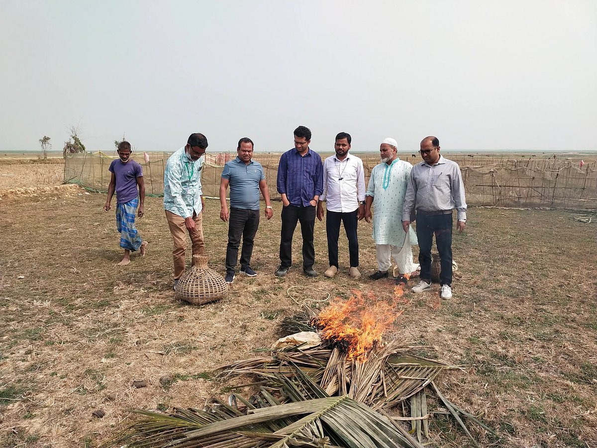 শিকার টানতে ফাঁদে রাখা হয়েছিল চোখ সেলাই করা ঘুঘু