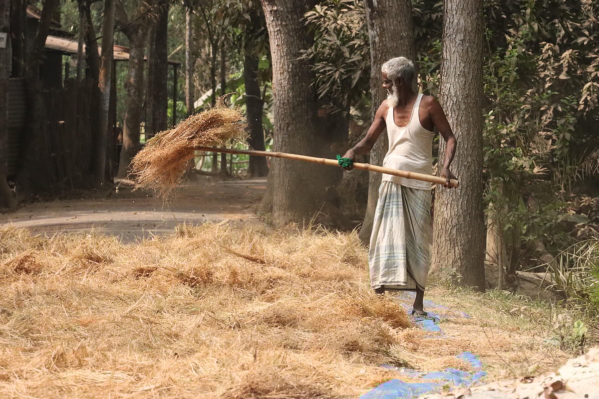 ছবি: আলীমুজ্জামান
