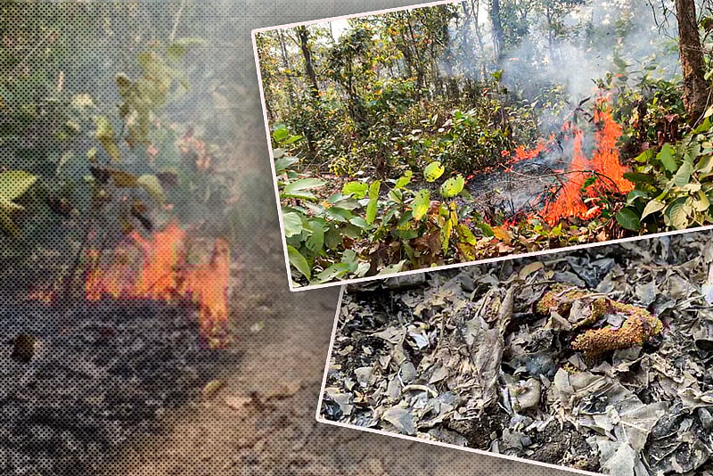 গাজীপুরে রেললাইনঘেঁষা বনে আগুন