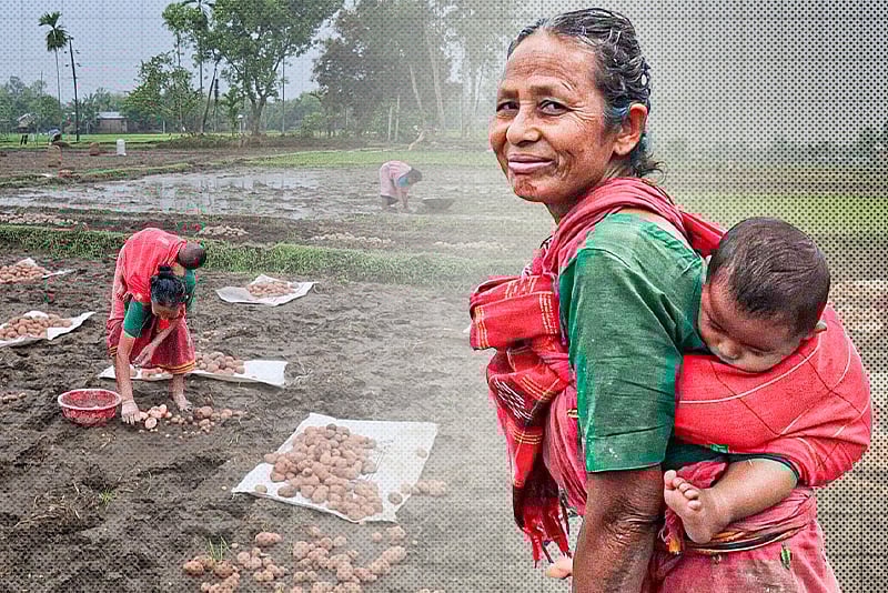 নাতিকে পিঠে নিয়েই মাঠে কাজ করছেন দাদি—ভালোবাসার অনন্য দৃশ্য