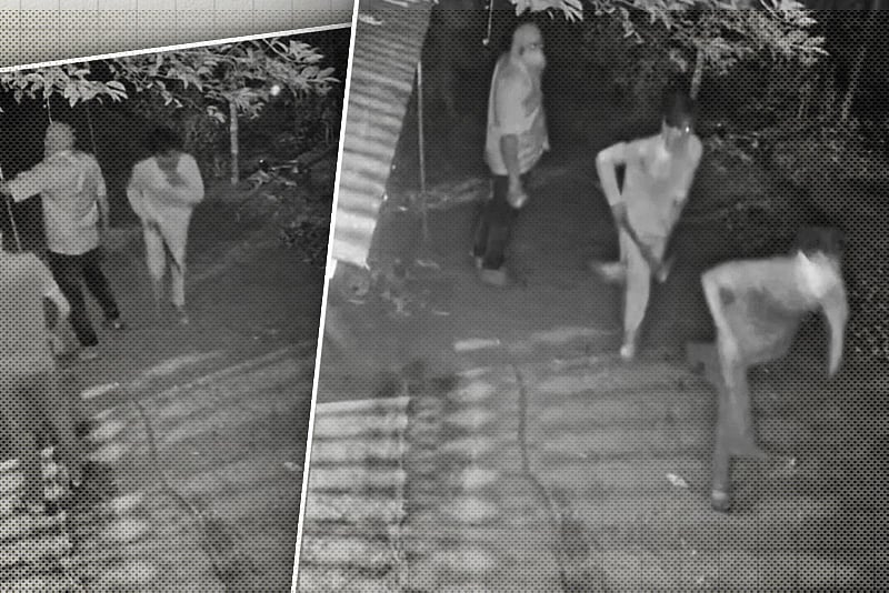 ‘গরু নিয়ে গেল’ চিৎকার করায় পালিয়ে গেল ডাকাত দল