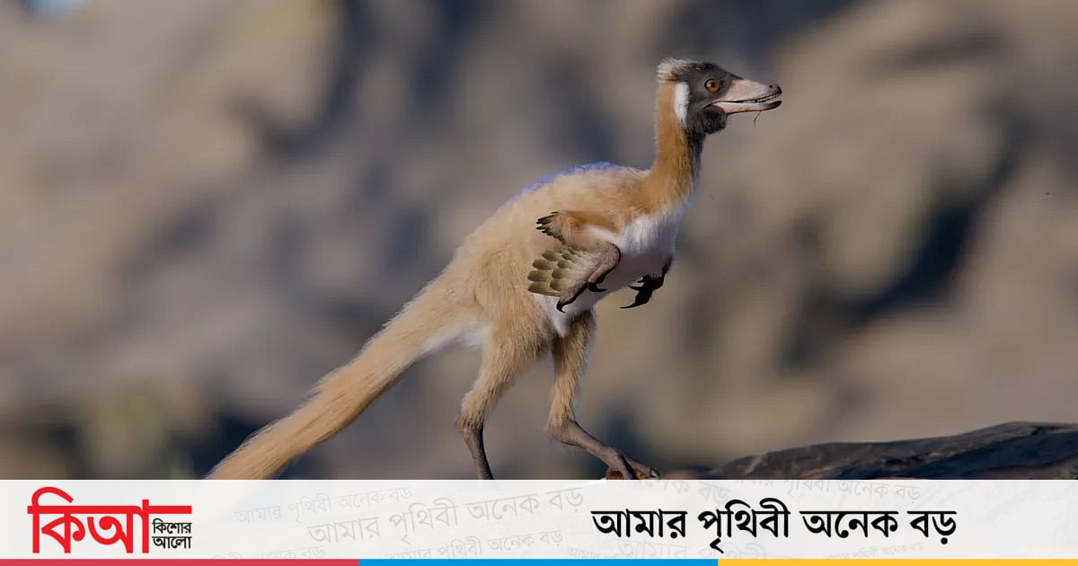 বিশ্বের ক্ষুদ্রতম ডাইনোসরের খোঁজ মিলেছে বিশ্বের ক্ষুদ্রতম ডাইনোসরের খোঁজ মিলেছে