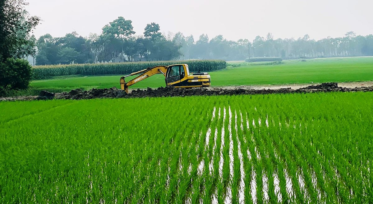 ঈদের আগে নবাবগঞ্জে কৃষিজমির মাটি কাটার হিড়িক, স্থায়ী সমাধান চান স্থানীয়রা