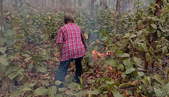 শ্রীপুরে বনের আগুন নেভাচ্ছেন বনকর্মীরা, অগ্নিসংযোগকারীকে ধরতে পুরস্কার ঘোষণা