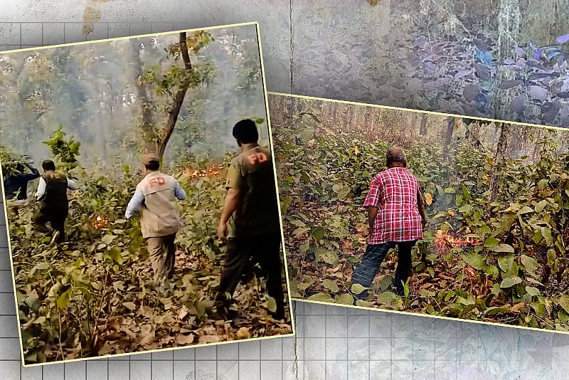 গাজীপুরের ভাওয়াল বনাঞ্চলে আগুন, স্থানীয় বাসিন্দাদের সহযোগিতায় আগুন নেভানোর চেষ্টা