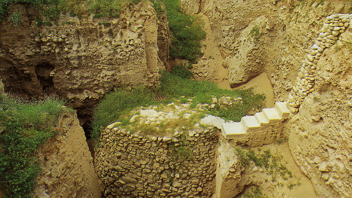 ছবি: উইকমিডিয়া কমনস