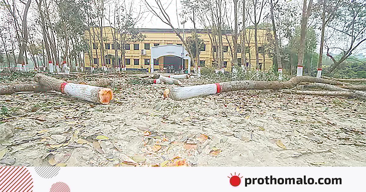 গাছ রেখেও একটা মনোরম ঈদগাহ বানানো যায় গাছ রেখেও একটা মনোরম ঈদগাহ বানানো যায়