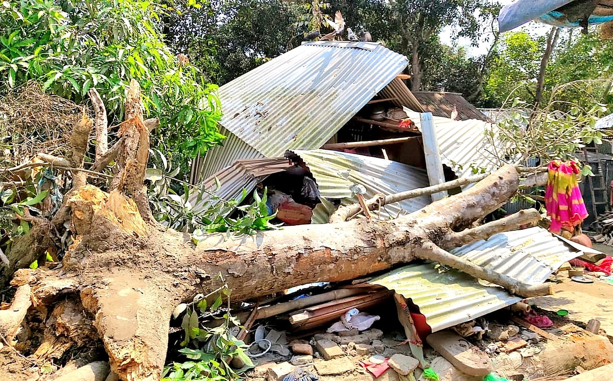 রাতের খাবার খাচ্ছিলেন, ঝড়ে ঘরের ওপর গাছ পড়ে নারীর মৃত্যু