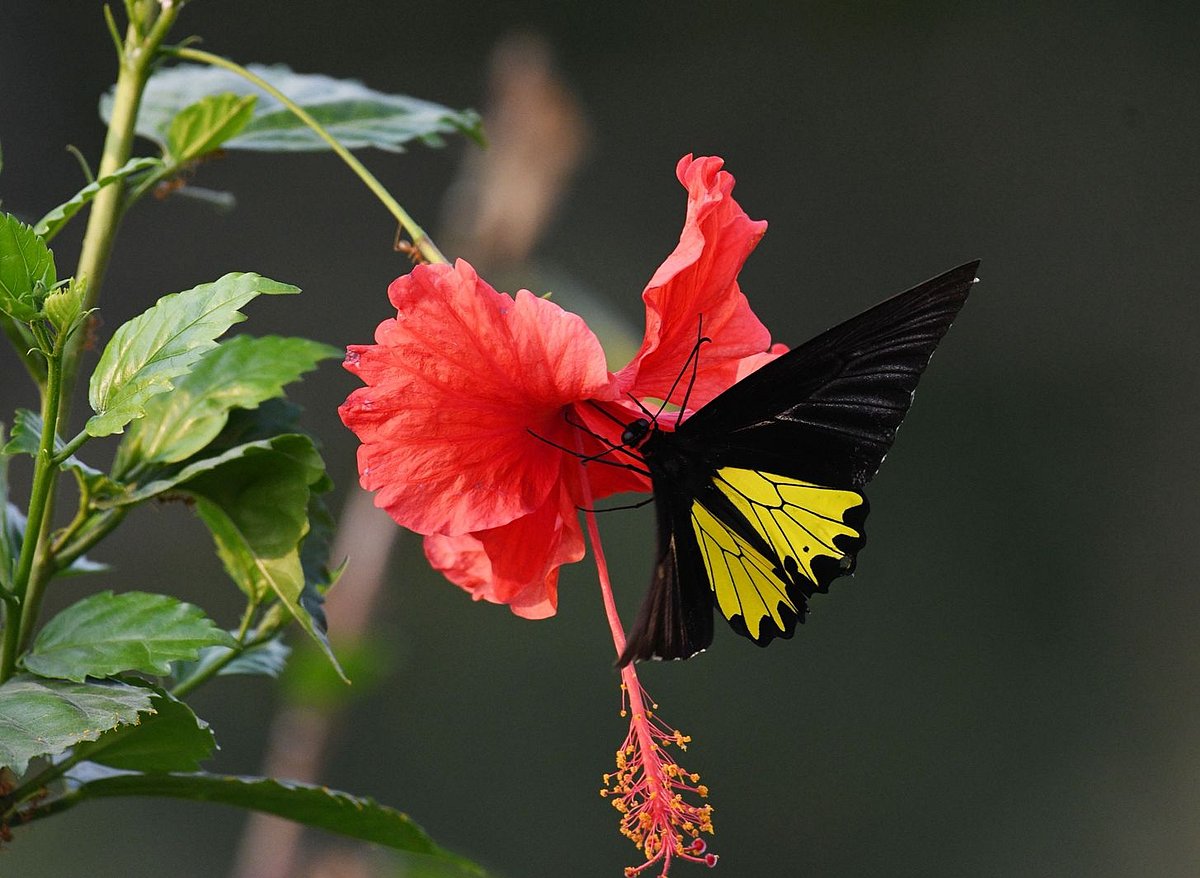 একঝলক (২৩ মার্চ ২০২৬)