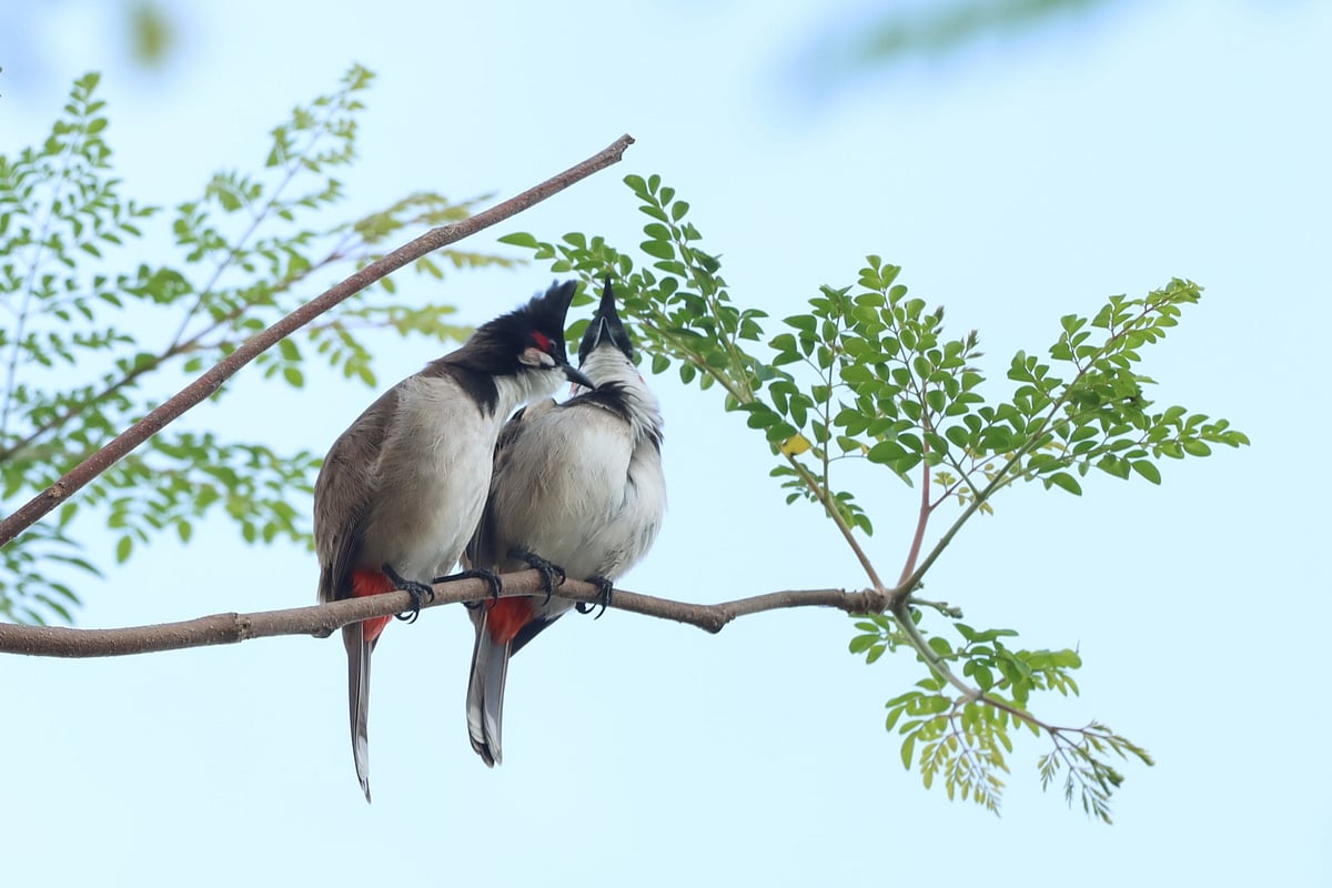 একঝলক (২৪ মার্চ ২০২৬)