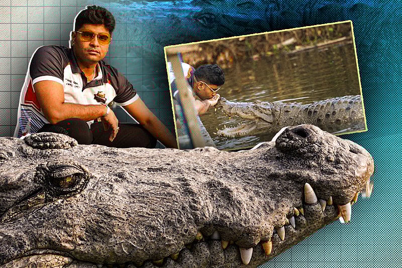 কুমিরের নাম ‘ধলাপাহাড়’, তার সঙ্গেই গড়ে উঠেছে মেহেদী হাসানের বন্ধুত্ব