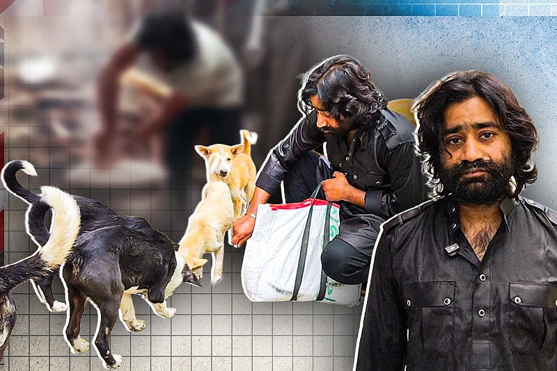 অভুক্ত কুকুর–বিড়ালকে রান্না করে খাওয়ান সালাহউদ্দীন