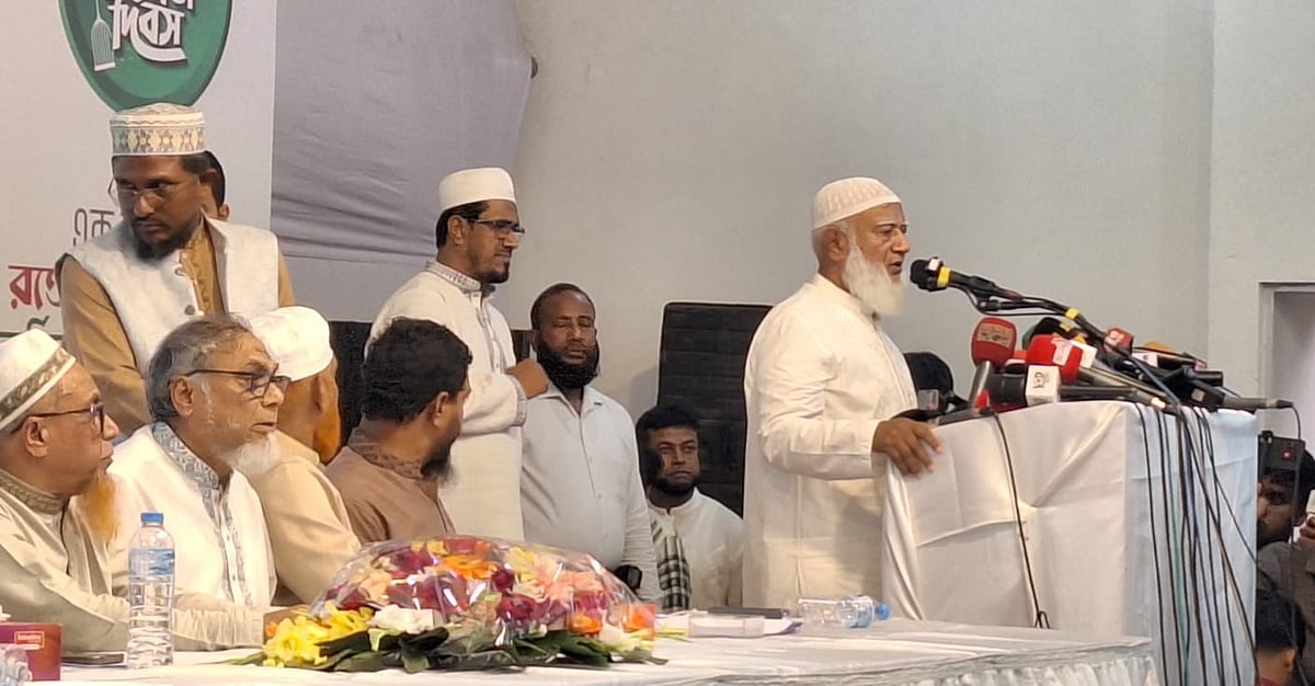 আপনি গোশত মানেন, কিন্তু ঝোল খাইতে রাজি না: জামায়াত আমির