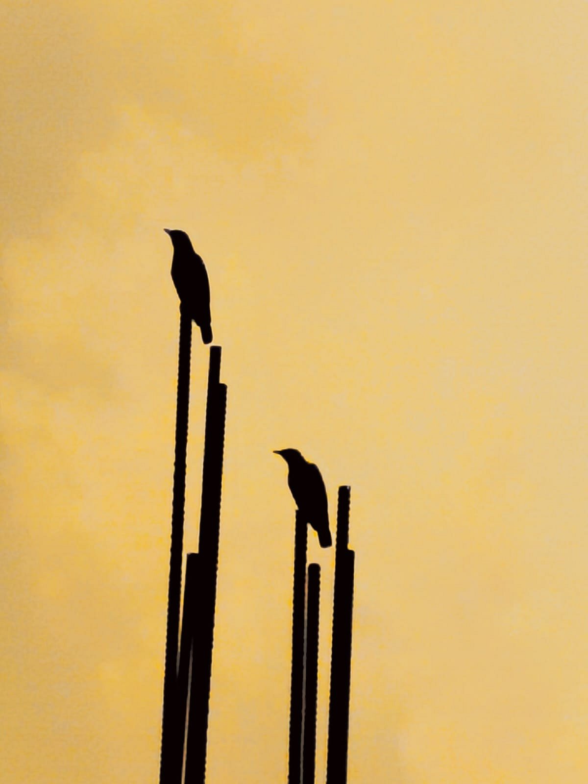 স্বাধীনতা দিবসে শিক্ষার্থীদের ডিসপ্লে প্রদর্শনী ও দেশাত্মবোধক গান