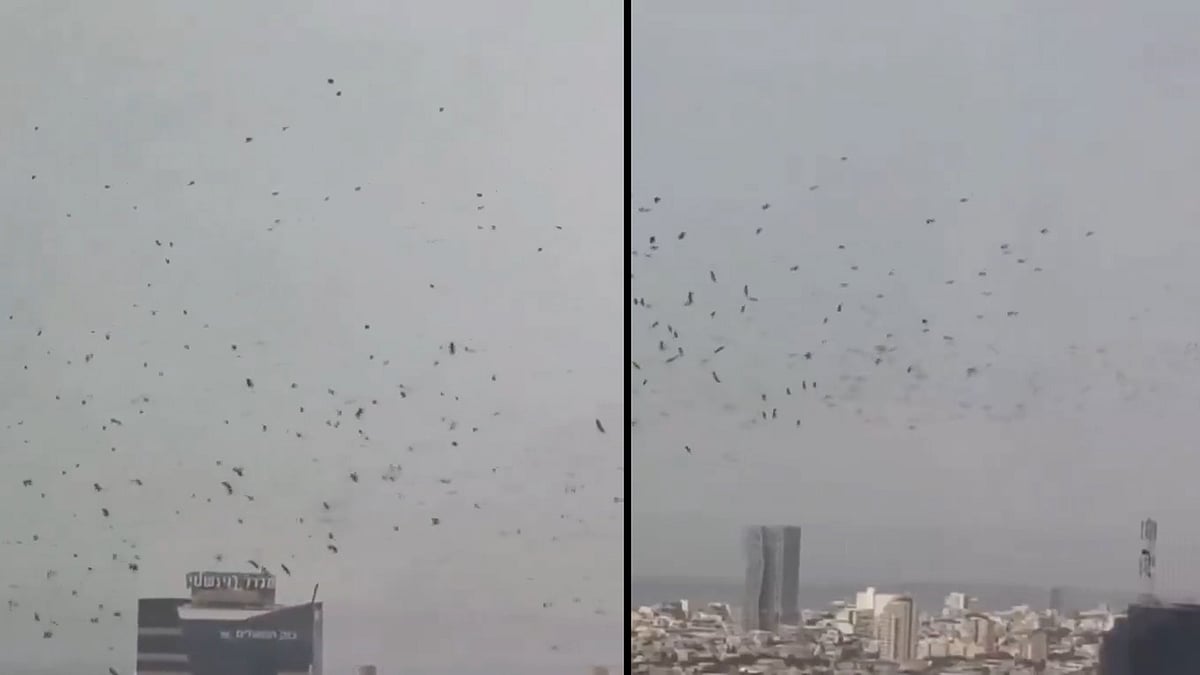 ইসরায়েলের আকাশে কাকের ঝাঁক, অনেকে বলছেন ‘অশুভ সংকেত’