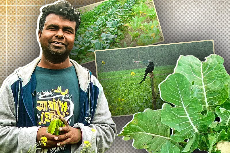 বিষমুক্ত নিরাপদ খাদ্যের খামার, দেলোয়ারের প্রাকৃতিক কৃষিকেন্দ্র