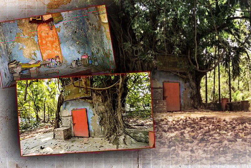 বিশাল আকারের পাকুড়গাছের শিকড়ে বন্দী বরিশালের এই ‘গায়েবি’ মসজিদ