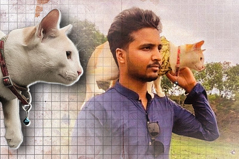 ঈদের ঘোরাঘুরিতেও ‘টমি’কে সঙ্গে নিয়ে চা-বাগানে এক বিড়ালপ্রেমী