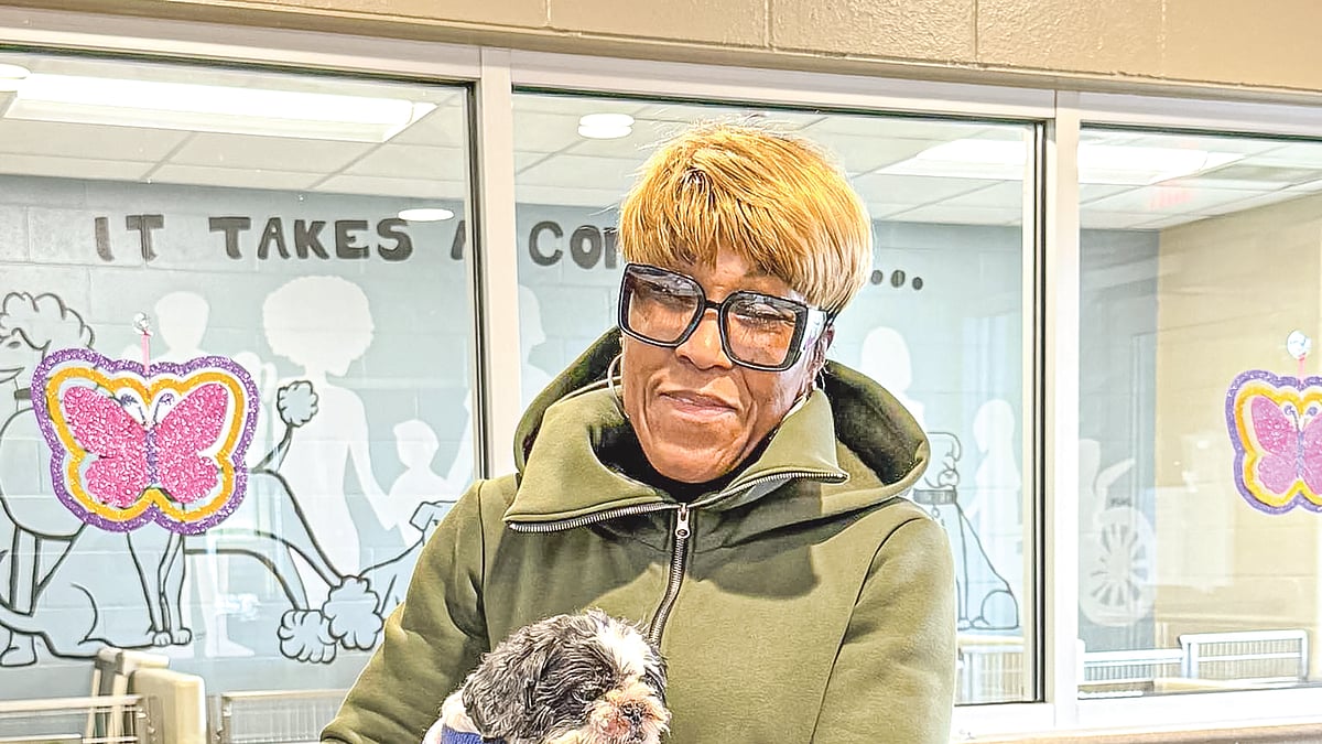 ছবি: মাহোনিং কাউন্টি ডগ ওয়ার্ডেনের ফেসবুক পেজ থেকে