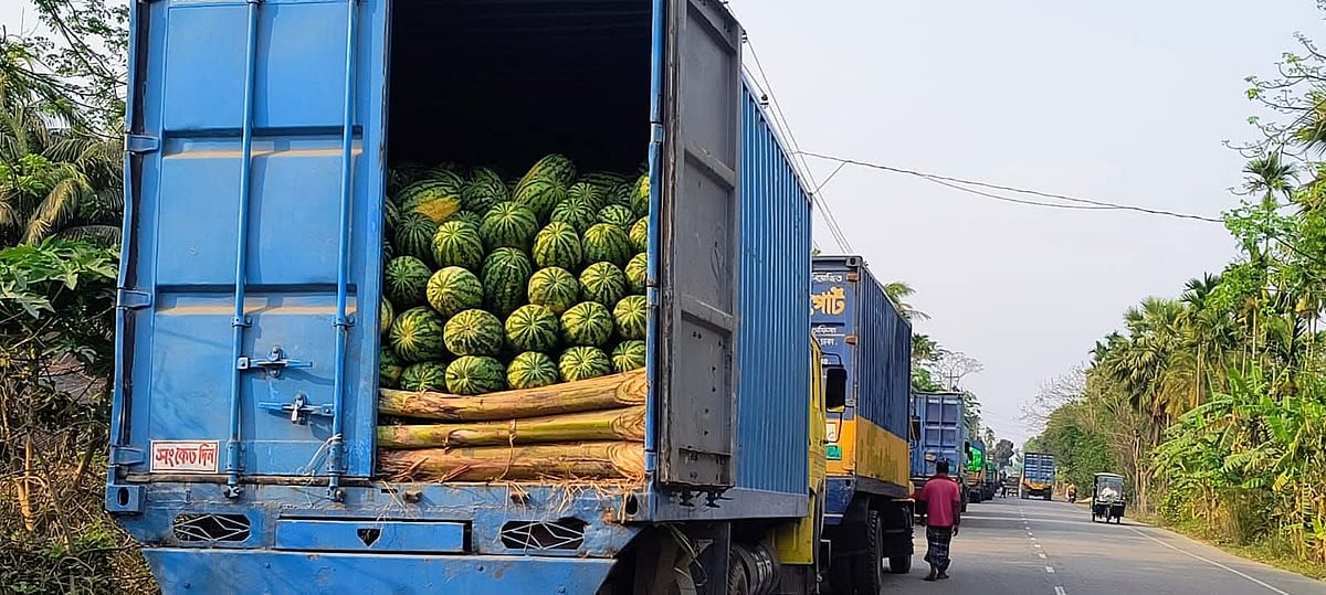 ফেরি–সংকটে ভোলার ইলিশা ঘাটে তরমুজবাহী ট্রাকের দীর্ঘ সারি, বাতাসে পচা তরমুজের গন্ধ