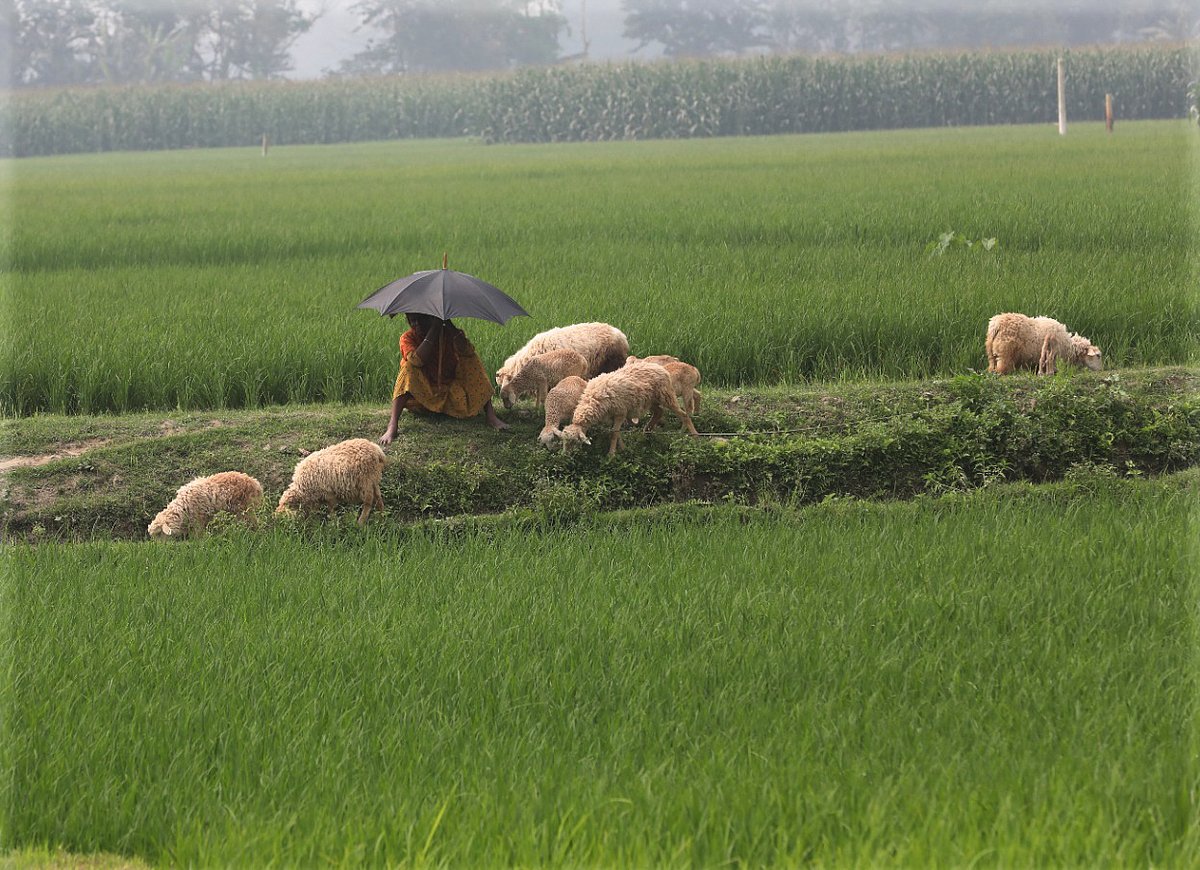 একঝলক (২৯ মার্চ ২০২৬)