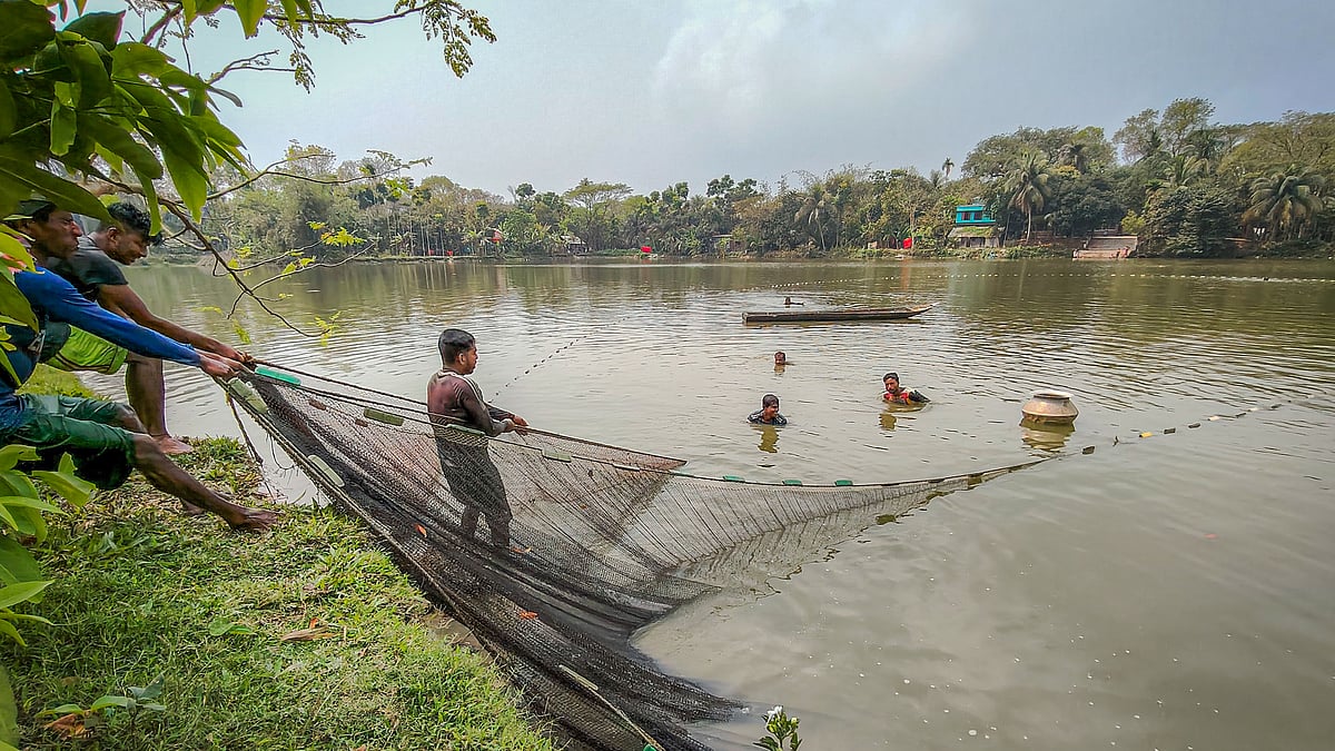 জাল টেনে মাছ ধরতে ব্যস্ত মৎস্যশ্রমিকেরা