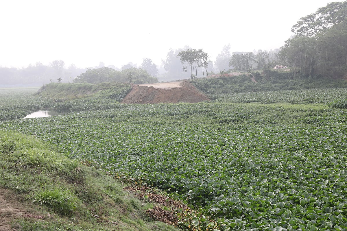 করতোয়ার প্রাণ ফেরাতে নতুন প্রকল্প নেওয়া হচ্ছে