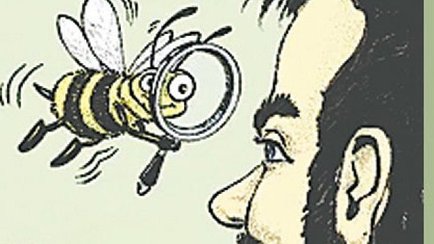 মৌমাছি মানুষের চেহারা চিনতে পারে