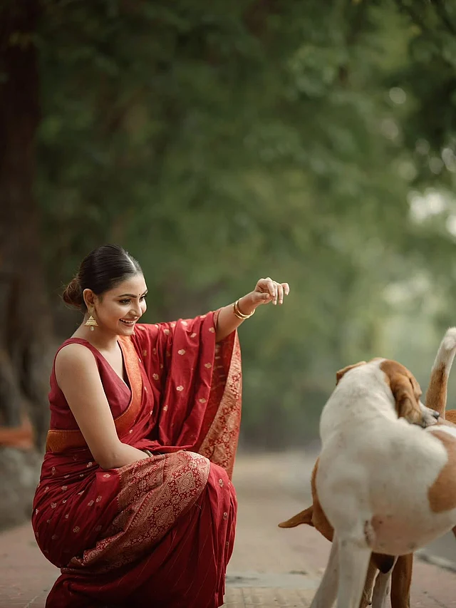 পথকুকুরদের সঙ্গে খুনসুটি