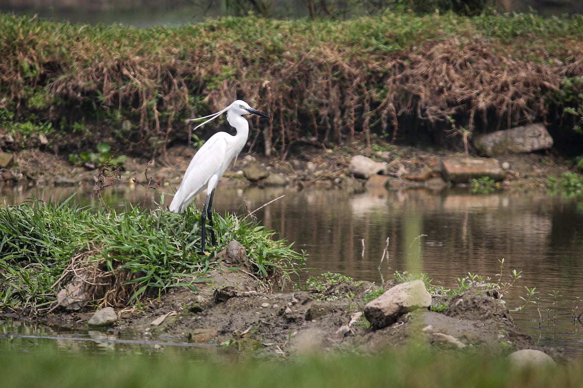 একঝলক (৩১ মার্চ ২০২৬)