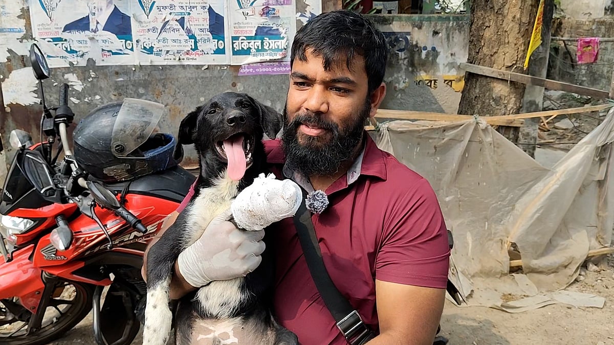 কুকুরদের খাবার ও চিকিৎসা দিয়ে পাশে দাঁড়ান আকন