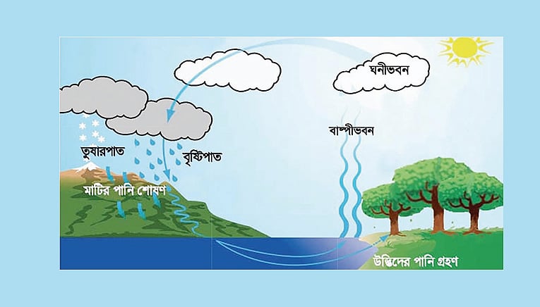 পানি কোন তিন অবস্থায় থাকে