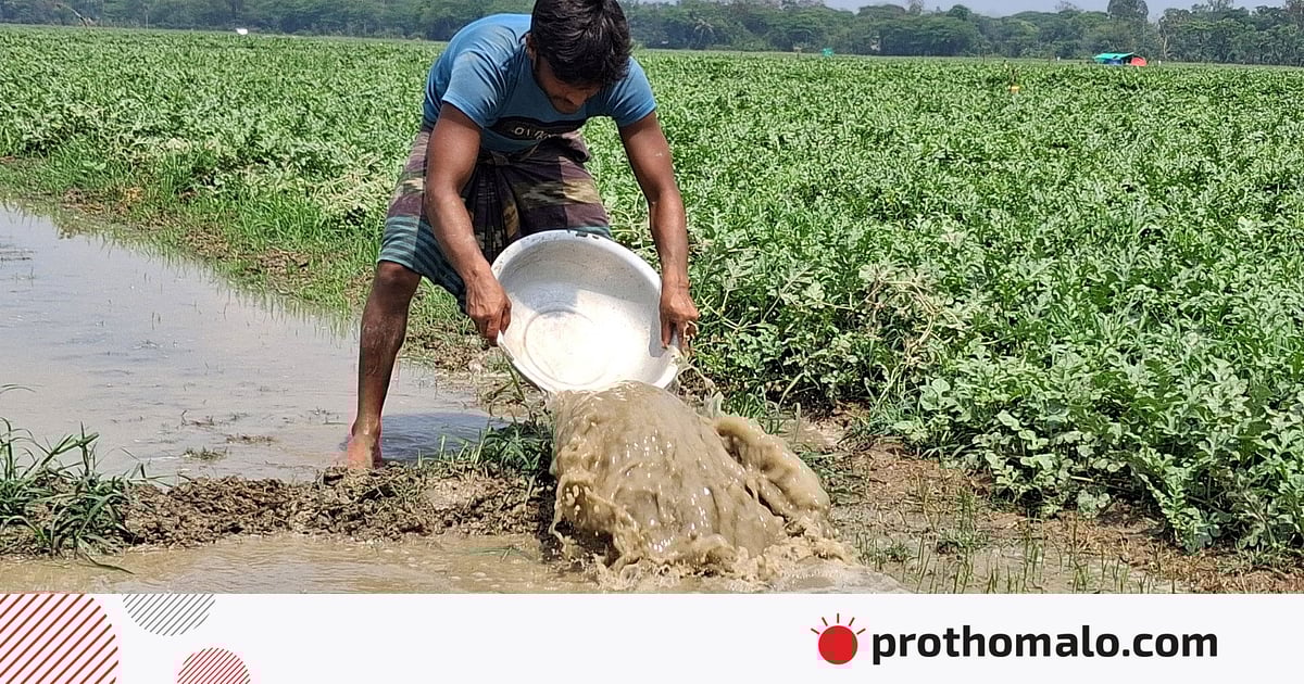 ‘২-৩ ঘণ্টার টানা বৃষ্টি সব শেষ করে দিল, কীভাবে দেনা শোধ করব’ ‘২-৩ ঘণ্টার টানা বৃষ্টি সব শেষ করে দিল, কীভাবে দেনা শোধ করব’