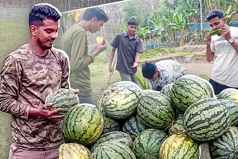 হলুদ তরমুজ চাষ করে লাখ টাকা আয় শিক্ষার্থী খোরশেদের