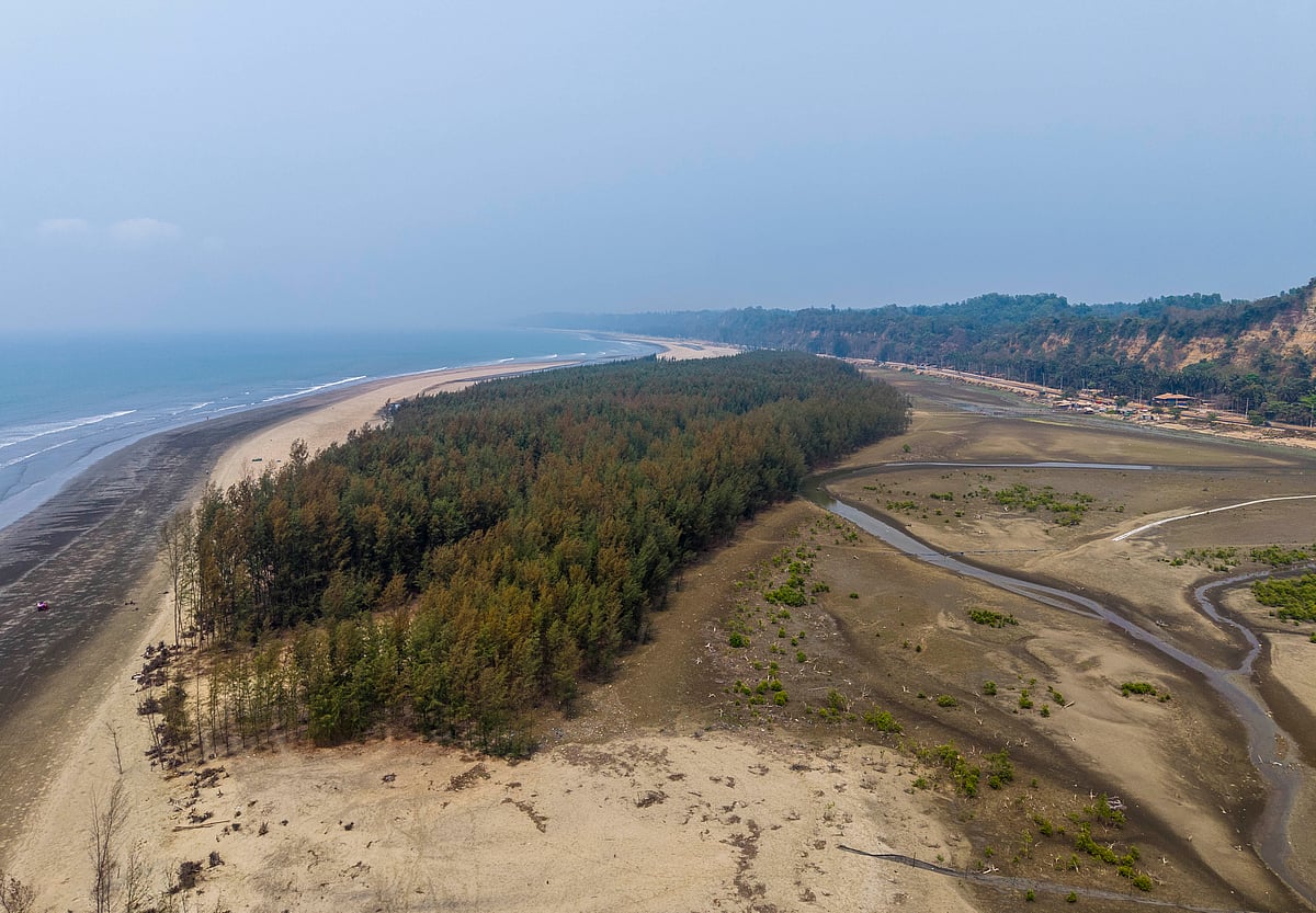 কক্সবাজার-টেকনাফের বিশাল সৈকতের এক পাশে ছোট্ট ঝাউবাগান