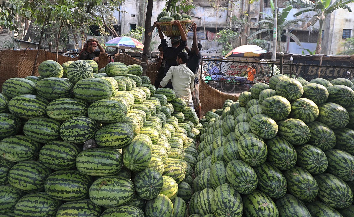 চট্টগ্রামের ফলমুন্ডিতে তরমুজের সরবরাহ বেড়েছে, দাম কমেছে