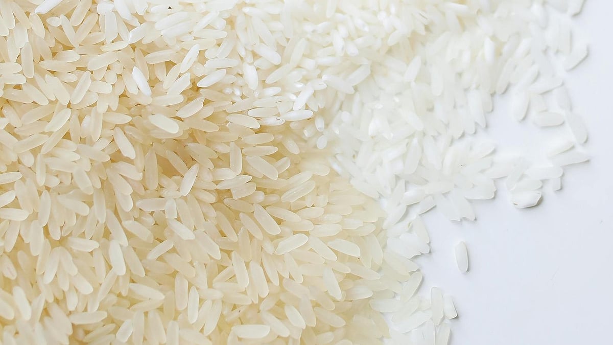 চিকন চাল ভালো নাকি মোটা চাল, পুষ্টিবিদ কী বলেন