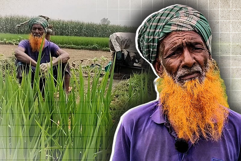 ডিজেল সংকটে পানিশূন্য ফসলের মাঠ