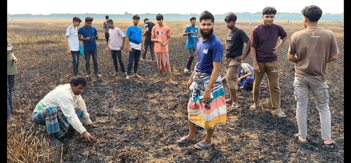 গমের নাড়া পোড়াতে গিয়ে আগুনে পুড়ল ১০০ বিঘা জমির ফসল