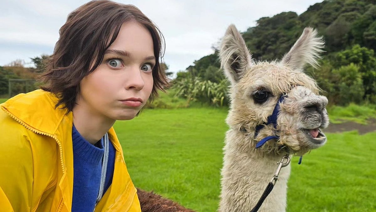 ৬ বছরে মাত্র ১১৯ পোস্ট, ফলোয়ার কোটি ছাড়িয়ে