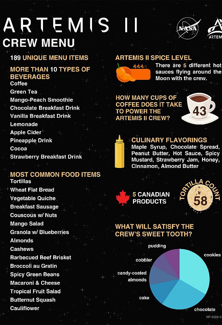 ৫৩ বছর পর চাঁদে গেল মানুষ, কী কী খাবার ও পানীয় থাকছে ১০ দিনের মেনুতে